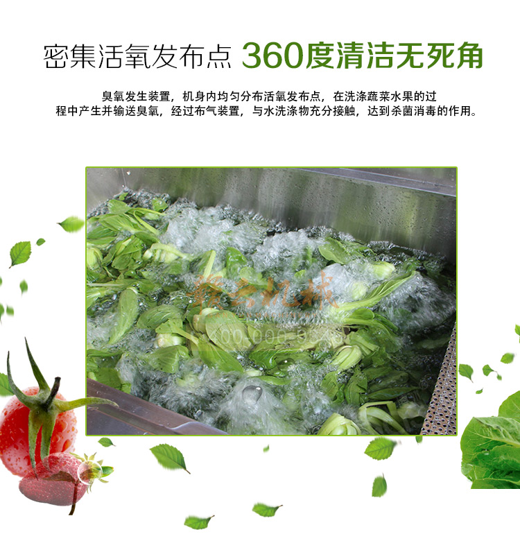 酒店食堂事業(yè)單位學校食堂用的清洗消毒洗菜機(圖3)