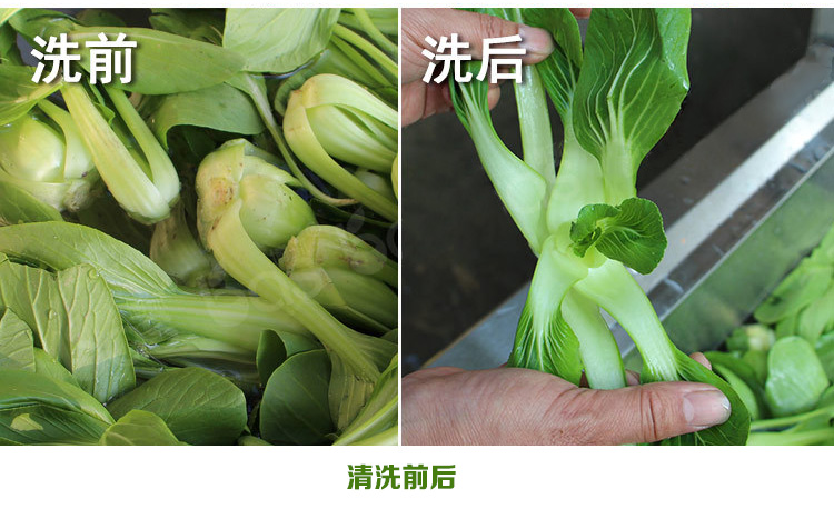 酒店食堂事業(yè)單位學校食堂用的清洗消毒洗菜機(圖21)